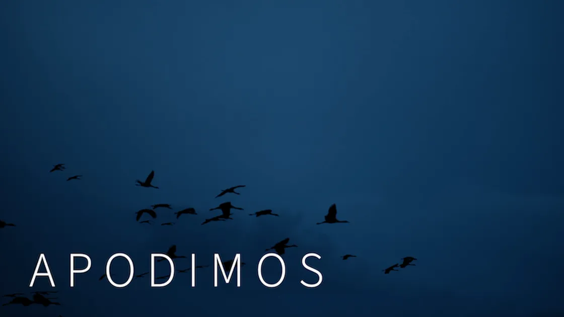 Apodimos